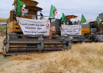 Saison agricole 2023/2024 : Lancement de la campagne moisson-battage