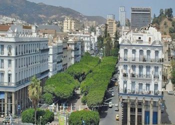 Face à la canicule et au fort taux d’humidité : L’urgence d’un reboisement massif à Annaba