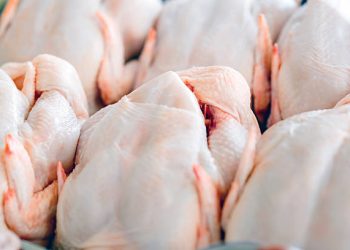 Du poulet congelé importé à 295 DA/kg : Une aubaine pour les consommateurs !