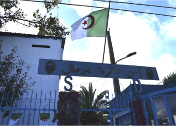 Inspections commerciales à Berrahal : Saisie de 8 q de viande avariée