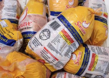 Face à la cherté du poulet local : Le poulet congelé brésilien, une alternative salutaire