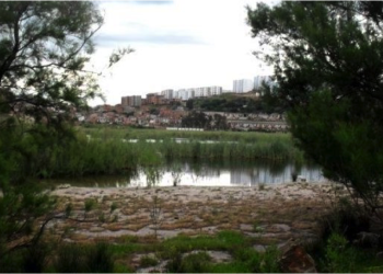 Protection de la zone humide de Boucedra : Un objectif dans les projets prévisionnels de 2025