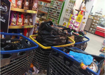 Contrôles sanitaires continus en période estivale : Destruction de glaces impropres à la consommation