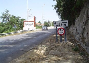 Renforcement de la ligne Annaba-Seraïdi : Une réponse attendue aux revendications locales