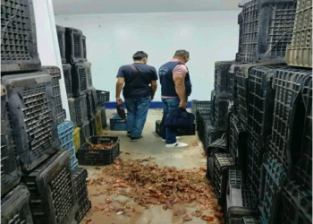 Sidi Amar et El Hadjar : Opération de contrôle des produits agricoles stockés