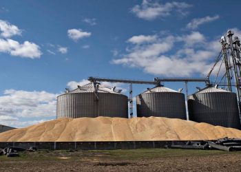 Renforcement des capacités de stockage des céréales : Un enjeu stratégique pour la sécurité alimentaire