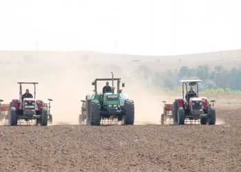 Campagne de labours semailles : 10.000 q de semences et engrais au profit des céréaliculteurs