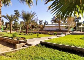 Le béton étouffe Biskra : Appel pressant pour un aménagement plus vert