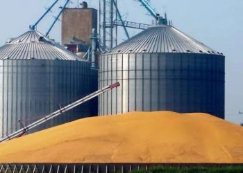 El Bouni : Vers l’agrandissement du centre de stockage de céréales