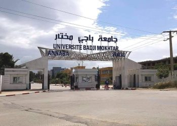 Université Badji Mokhtar d’Annaba : 355 projets de création de startups recensées