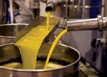 CAMPAGNE OLÉICOLE À JIJEL : Polémique sur le prix de l’huile d’olive