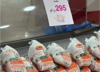 Entre pénurie et incertitude : Où est passé le poulet subventionné ?