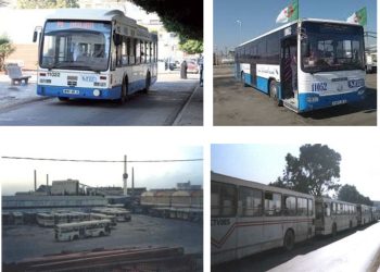 Organisation du transport public à Derradji Redjem : Des solutions salutaires pour les habitants