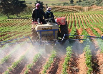 Terres agricoles réaménagées : Réunion de la commission de régularisation  