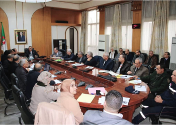 Un conseil exécutif dynamique : Les grandes lignes des investissements 2025