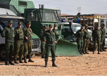 Simulation grandeur nature : Biskra teste sa préparation face aux inondations