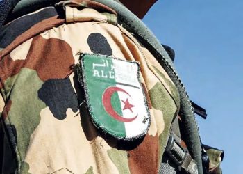 Trafic de drogue, d’or, migration clandestine… : L’implacable combat de l’ANP