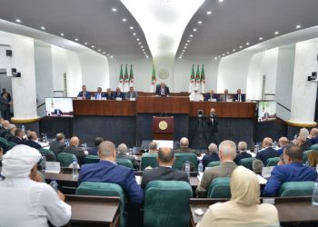 Une plénière est prévue le 18 février : Agenda chargé à l’APN