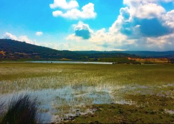 Journée mondiale des zones humides : El Adala face au défi de protection de la nature