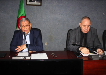 Actualisation des programmes universitaires : Des ateliers de révision et d’évaluation lancés à Annaba