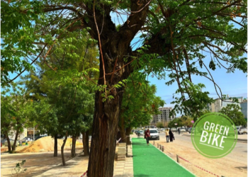 Cité Safsaf : Le revêtement vert de la piste cyclable installé