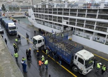 Moutons importés via le port d’Annaba : Le navire dérouté vers Jijel