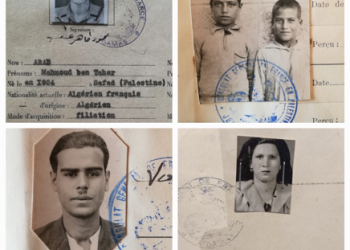 Entre exil et résistance : Ces Algériens oubliés de la Nakba