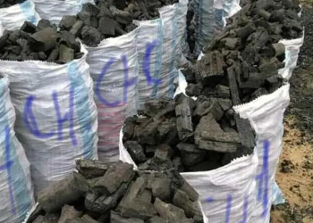 Jijel : Saisie de 20 sacs de charbon