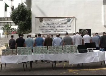 Enorme coup de maître du SCLCO à Alger : 500 camions, villas de luxe et 24 milliards saisis