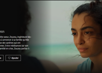 A découvrir sur Arte dès le 2 juin : « El’Sardines » : la sardine, la mer et Zouzou