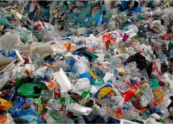 Collecte clandestine de déchets : L’APW se penche sur le dossier