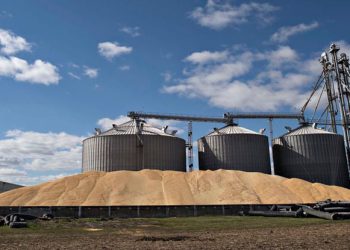 Stockage des céréales à El Kantara (Biskra) : Un nouveau centre de stockage stratégique