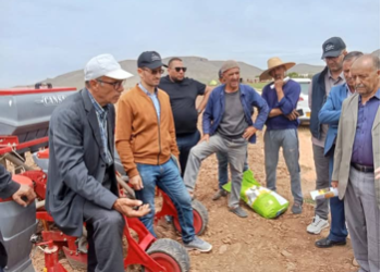 DSA d’Oum El-Bouaghi : Programme de développement de la culture du tournesol