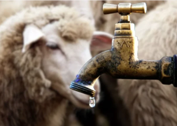 Ressources hydriques sous tension : Un dispositif spécial pour l’Aïd El-Adha