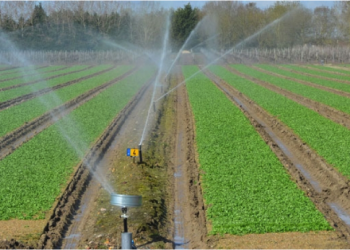 Irrigation à Tébessa : Ultime cri d’alarme des agriculteurs