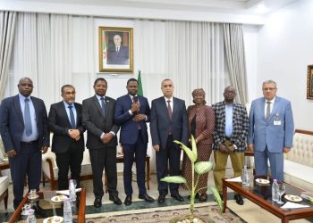 Algérie–Tanzanie  : Sonelgaz relance un partenariat énergétique  