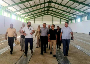 Centres de stockage de céréales à Tréat : Contrôle final et préparation à l’exploitation