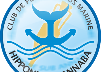 Une séance avec Hippone Sub  : L’aquagym version camaraderie 