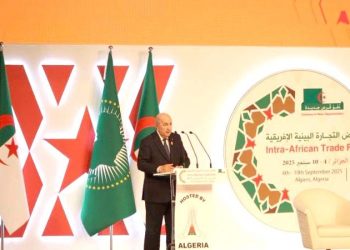 Financement des start-up africaines :  Tebboune crée un fonds dédié  