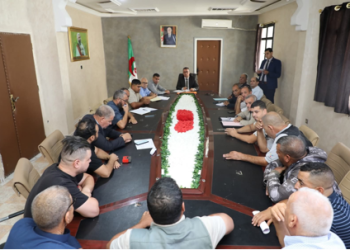 Visite à Souk Naamane  : Plusieurs points inspectés