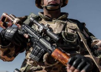 Une opération « héroïque » : Six terroristes éliminés à Tébessa 