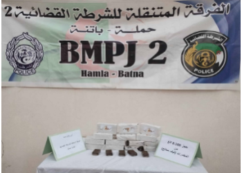 Poursuite de la traque des malfrats à Batna : 8.100 kg de kif et stupéfiants saisis 