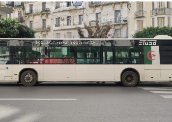 Contrôle du secteur du transport public à Batna : Retrait de 27 bus vétustes de la circulation  