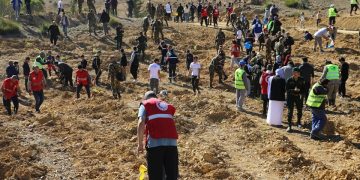 OUM EL-BOUAGHI : 26.000 arbres plantés à travers la wilaya