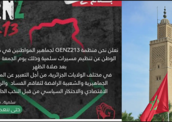 Appels anonymes à manifester en Algérie : Qui tire les ficelles ? 