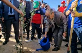 Journée nationale de l’arbre à Biskra : Symphonie verte et engagement collectif