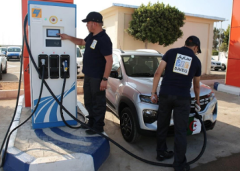 Face à l’urgence climatique  :  L’Algérie mise sur la mobilité verte