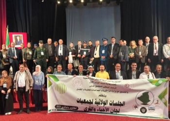 Comités de quartiers et de villages : L’ONSC plaide pour une approche participative