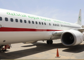 Dès fin octobre : Domestic Airlines va augmenter ses vols