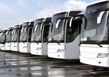 Le transport collectif, pilier d’une politique plus écologique  : Le bus, moteur d’un transport public éco-responsable